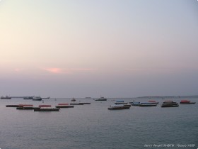 0728_Zanzibar-6.jpg