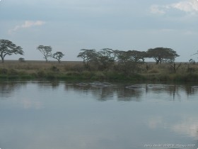 0815_Serengeti-8.jpg