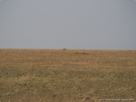 0816_Serengeti-12.jpg