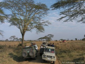 0816_Serengeti-13.jpg