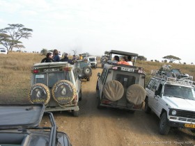 0816_Serengeti-15.jpg