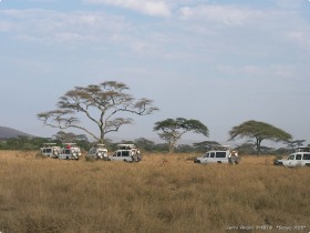 0816_Serengeti-16.jpg