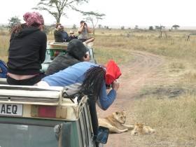 0816_Serengeti-24.jpg