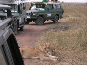 0816_Serengeti-30.jpg