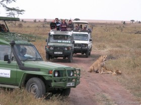 0816_Serengeti-37.jpg