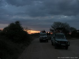 0816_Serengeti.jpg