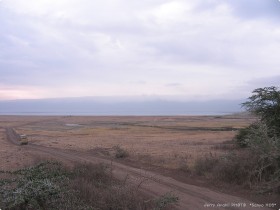0817_Ngorongoro-1.jpg