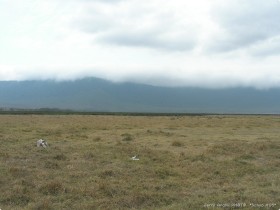 0817_Ngorongoro-19.jpg