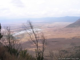 0817_Ngorongoro-27.jpg