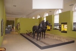 말 박물관
